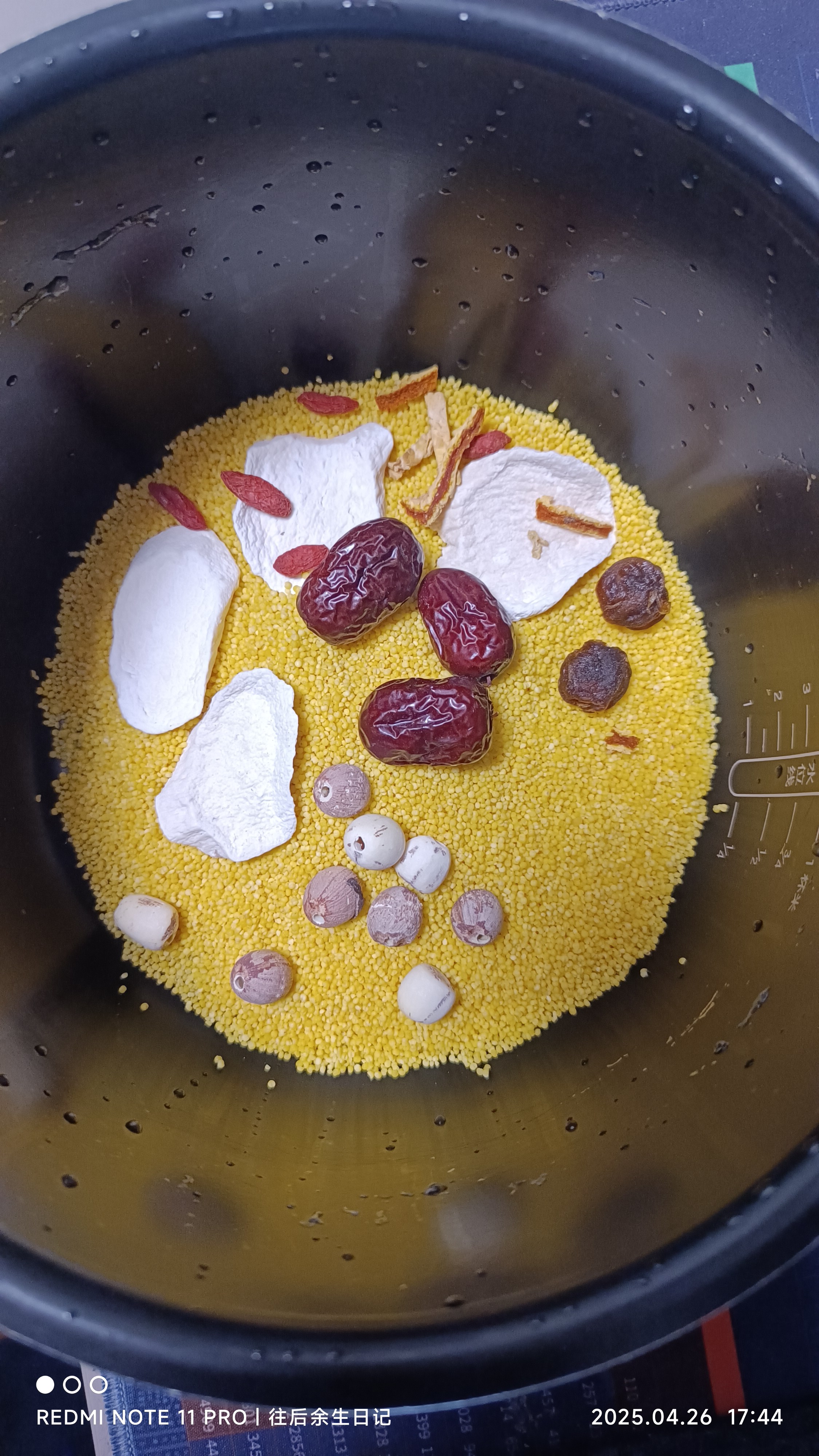 米饭饵料制作(米饭饵需要对什么小药) 米饭饵料制作(米饭饵需要对什么小药)