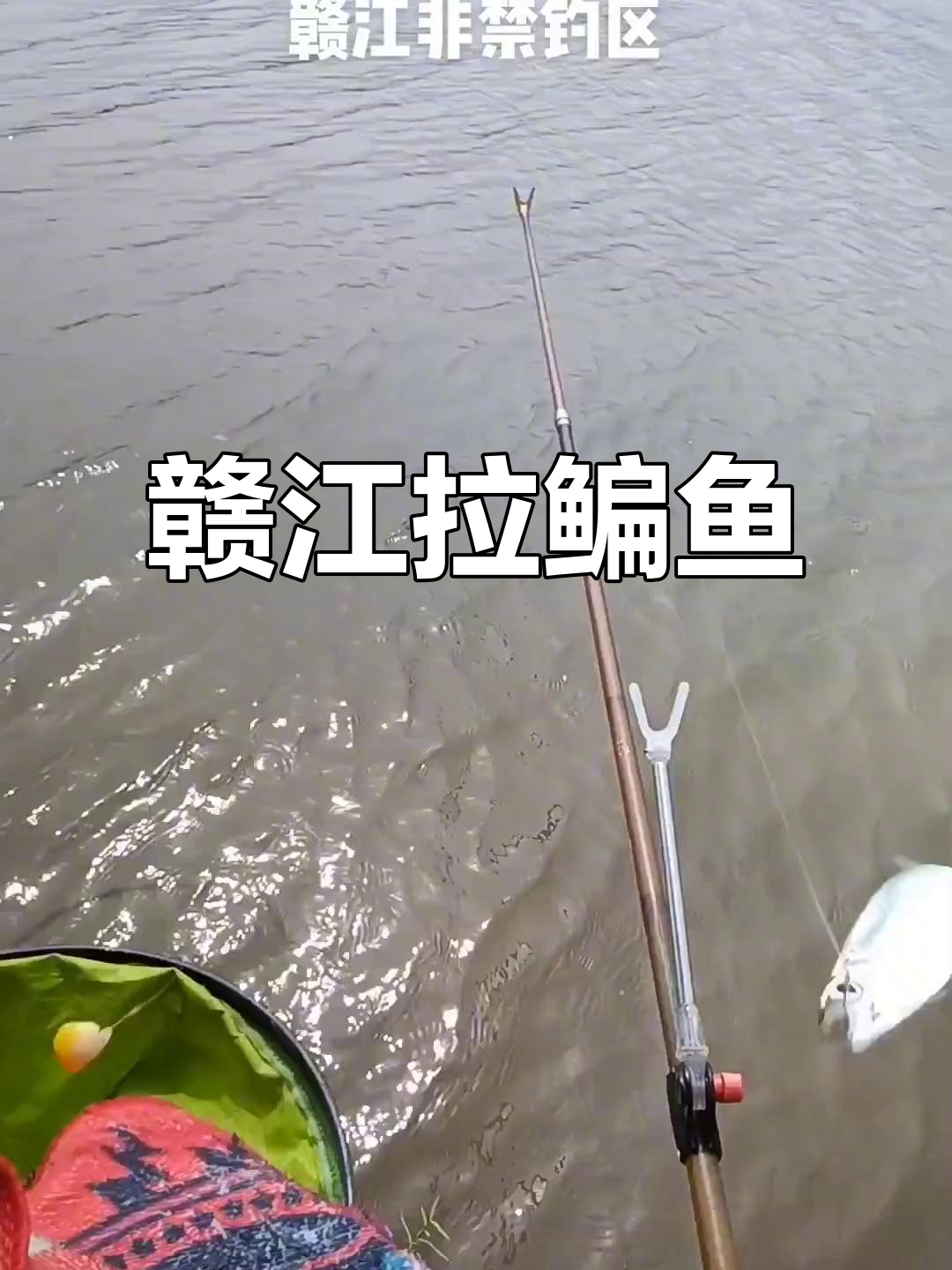 赣江十月钓鱼技巧(中科本安) 赣江十月钓鱼技巧(中科本安)