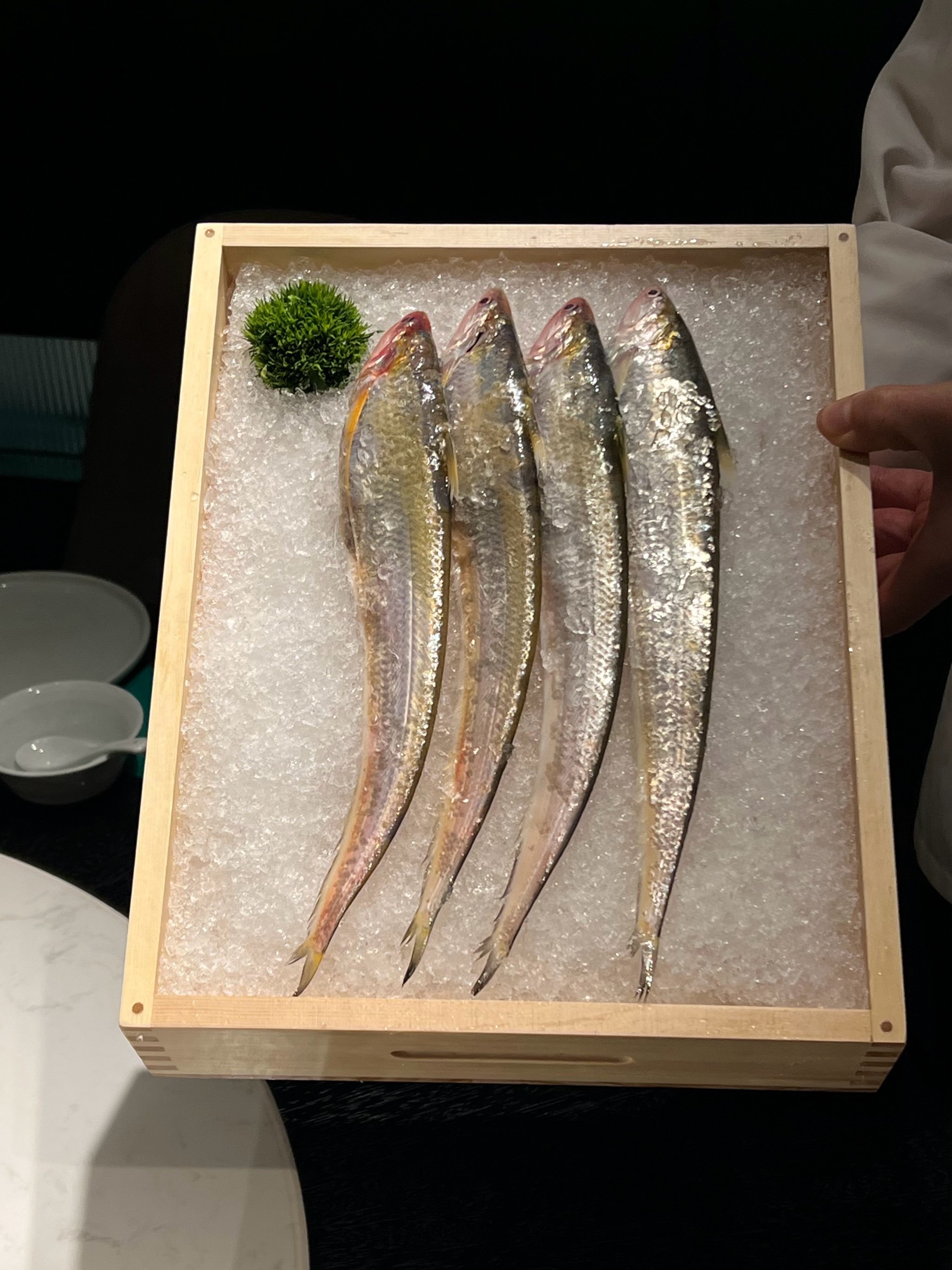 渔具店掐鱼(渔具批发一手货源) 渔具店掐鱼(渔具批发一手货源)