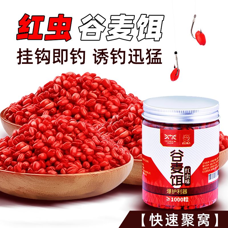 小麦饵料钓鱼行吗(小麦饵料钓鱼行吗视频) 小麦饵料钓鱼行吗(小麦饵料钓鱼行吗视频)