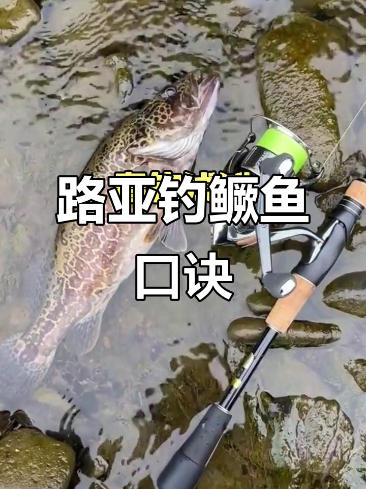 路亚钓鳜鱼技巧(路亚钓鳜鱼技巧视频教程) 路亚钓鳜鱼技巧(路亚钓鳜鱼技巧视频教程)