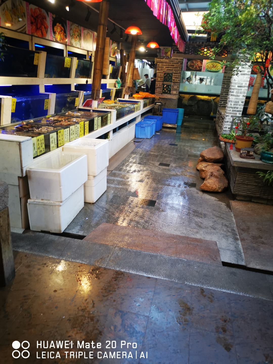 常德桃源渔具店(常德渔具批发)