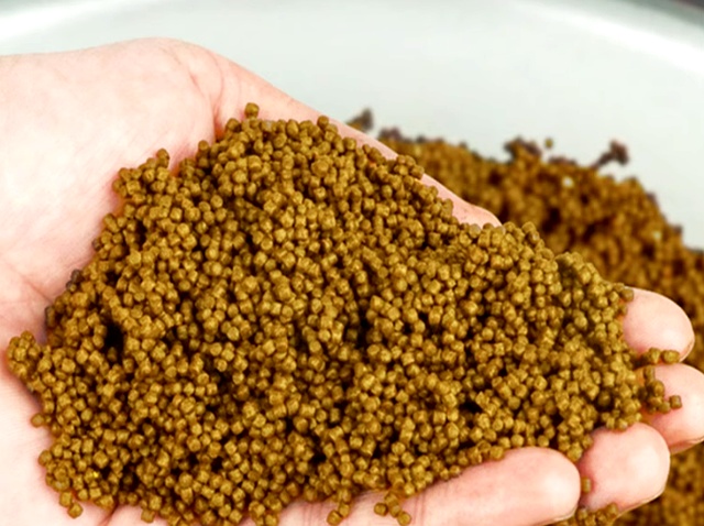 钓鱼比赛禁止饵料(钓鱼禁用饵料) 钓鱼比赛禁止饵料(钓鱼禁用饵料)