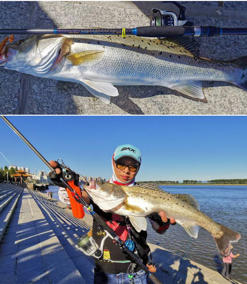 路亚钓当海杆(路亚如何当海竿用) 路亚钓当海杆(路亚如何当海竿用)