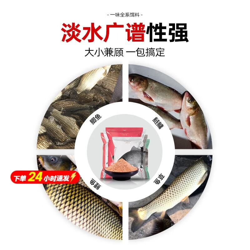 化氏钓鱼技巧培训(化氏钓鱼训练营全集) 化氏钓鱼技巧培训(化氏钓鱼训练营全集)