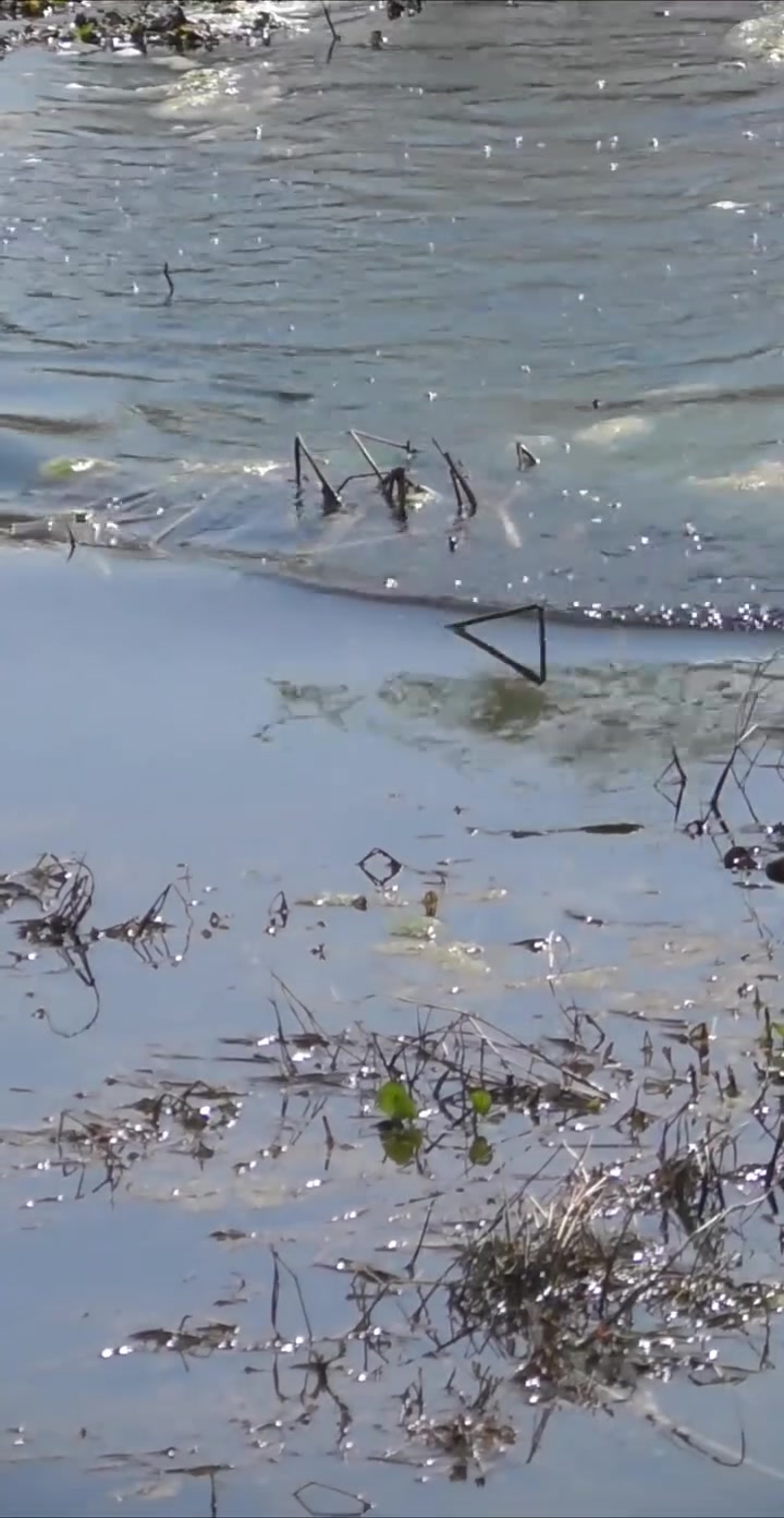 路亚黑鱼气温(路亚黑鱼气温多少度合适)