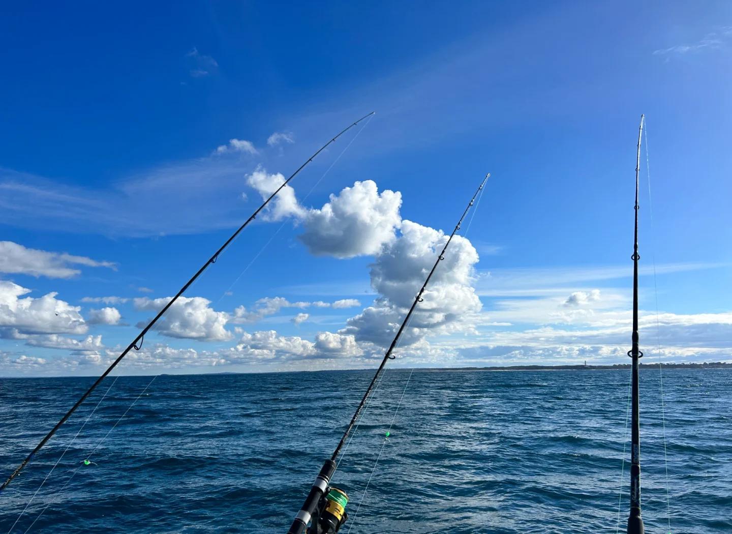 大洲港海钓下载(深圳近海海钓鱼种) 大洲港海钓下载(深圳近海海钓鱼种)