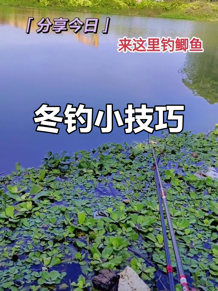 冬季室内钓鱼技巧(冬季室内钓鲤鱼鱼技巧) 冬季室内钓鱼技巧(冬季室内钓鲤鱼鱼技巧)
