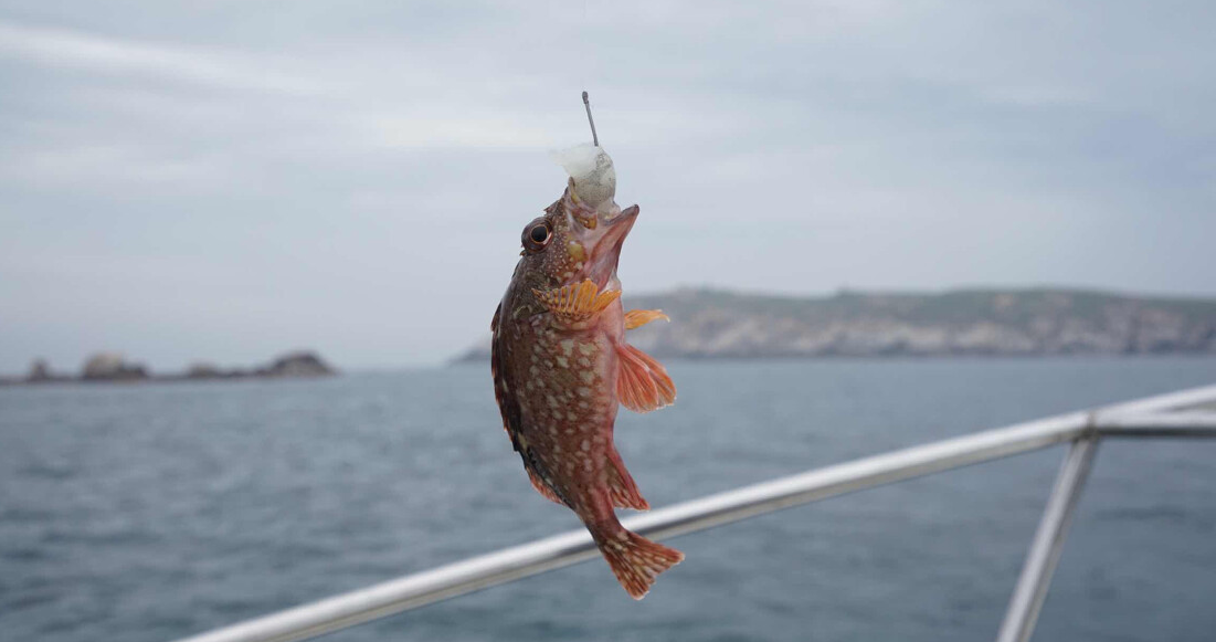 防城港包船海钓(防城港包船打鱼)