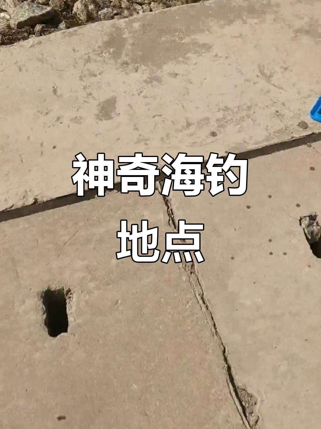 宝安海钓地点(宝安附近钓鱼) 宝安海钓地点(宝安附近钓鱼)