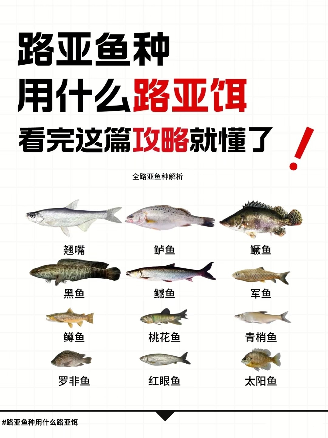 白天水库怎么路亚翘嘴(白天路翘嘴用什么饵) 白天水库怎么路亚翘嘴(白天路翘嘴用什么饵)