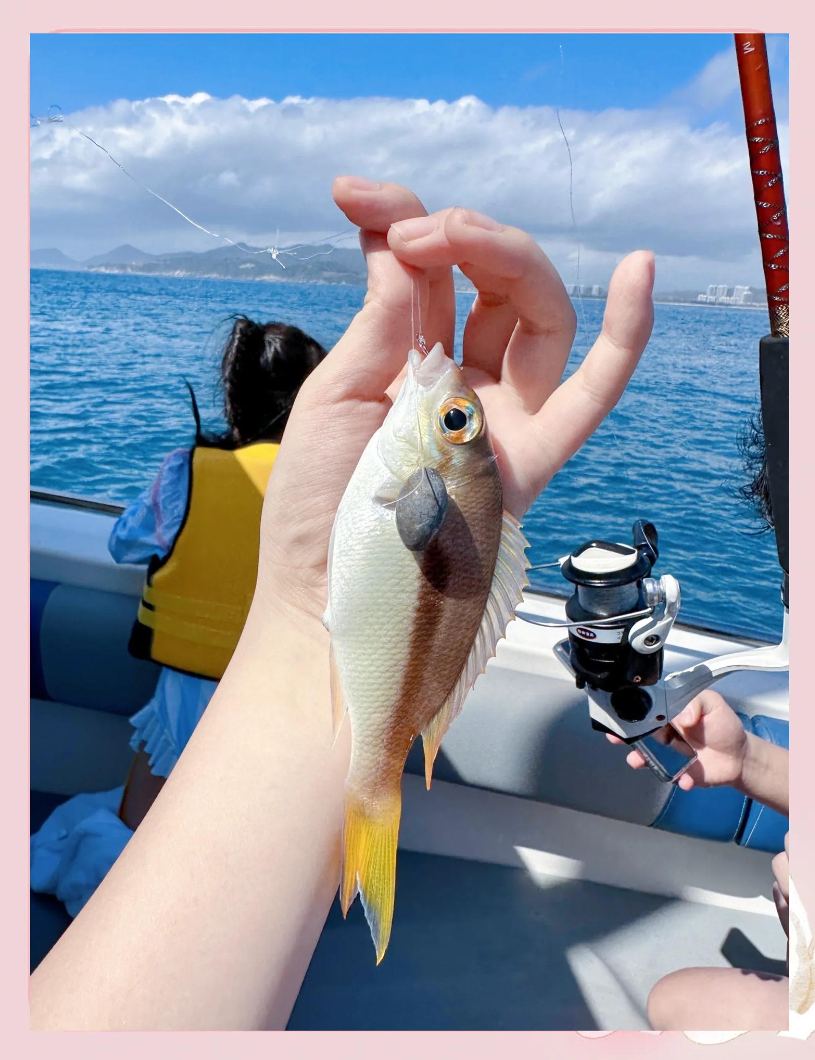 大青针海钓费用多少钱(大青针在哪个海域) 大青针海钓费用多少钱(大青针在哪个海域)