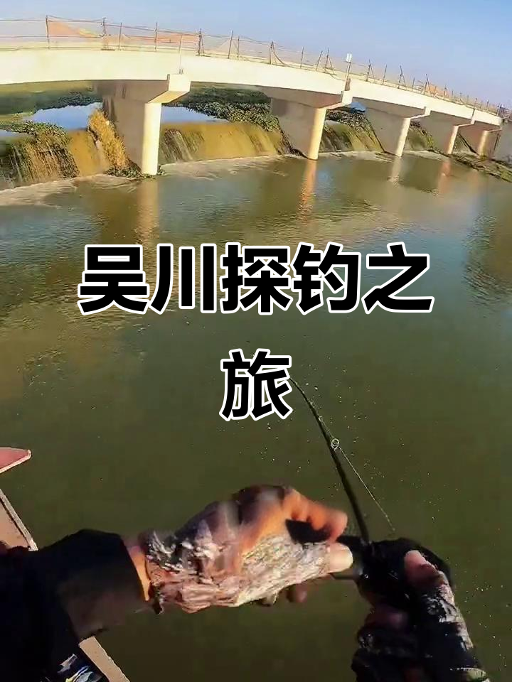 闸口在放水钓鱼技巧(闸口放完水里面有鱼吗)