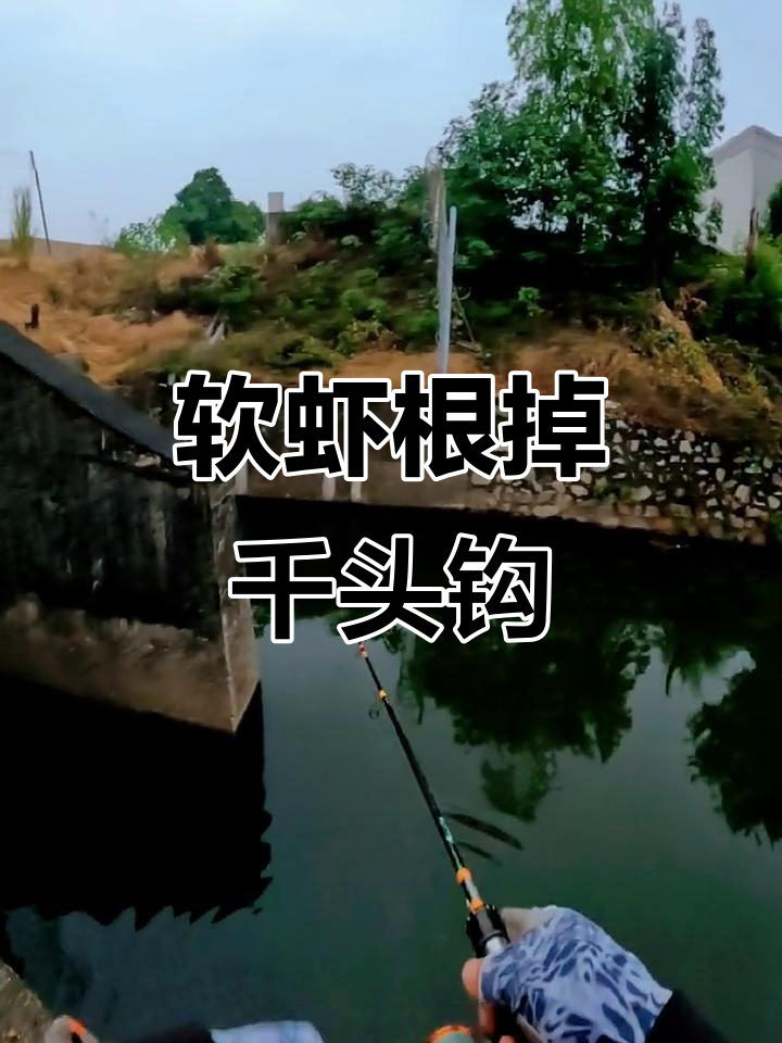 闸口在放水钓鱼技巧(闸口放完水里面有鱼吗)