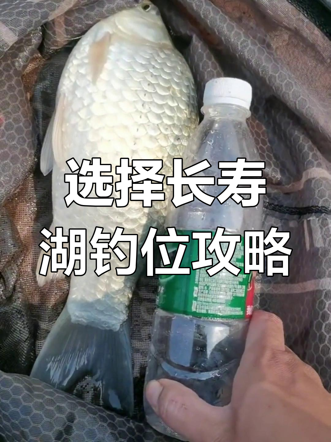 手杆河里钓小鲫鱼技巧(手杆钓鱼水下视频) 手杆河里钓小鲫鱼技巧(手杆钓鱼水下视频)