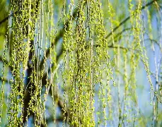 柳市国荣渔具店(我附近渔具店位置地图) 柳市国荣渔具店(我附近渔具店位置地图)