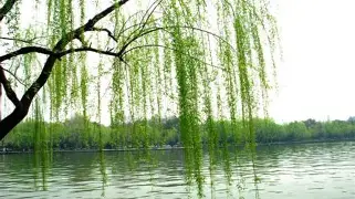 柳市国荣渔具店(我附近渔具店位置地图) 柳市国荣渔具店(我附近渔具店位置地图)