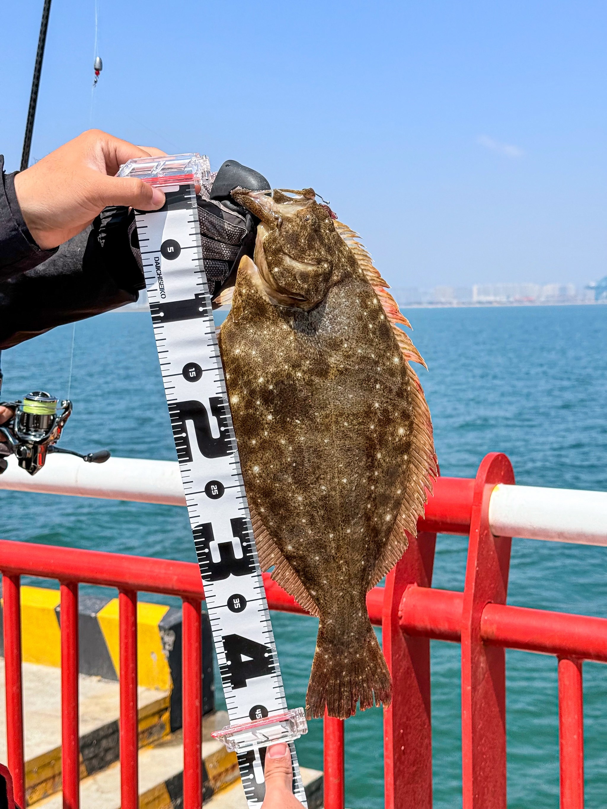 海钓最贵的鱼种(海钓最贵的鱼种有哪些) 海钓最贵的鱼种(海钓最贵的鱼种有哪些)