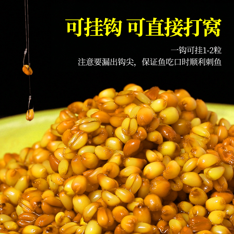 小麦饵料怎么煮(小麦饵料怎么煮好吃) 小麦饵料怎么煮(小麦饵料怎么煮好吃)