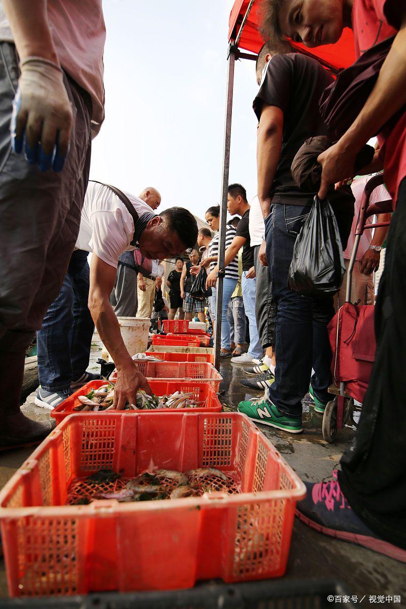 2016春节去海钓(去海上钓鱼) 2016春节去海钓(去海上钓鱼)
