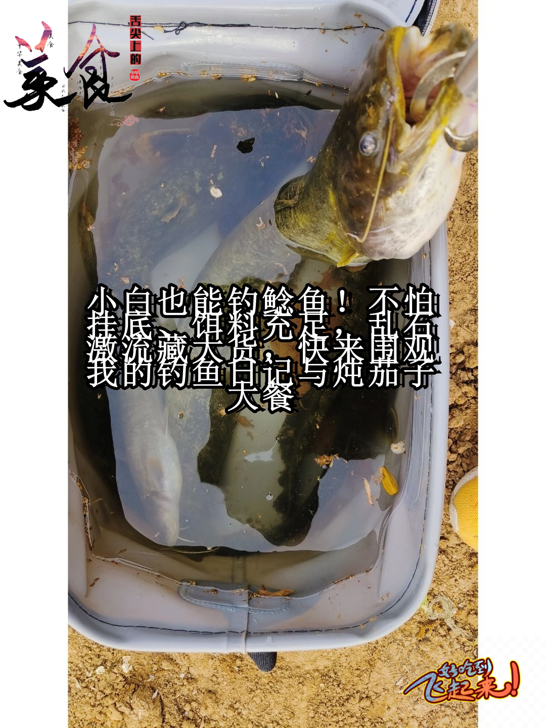 钓鲶鱼饵料(钓鲶鱼饵料怎么选) 钓鲶鱼饵料(钓鲶鱼饵料怎么选)