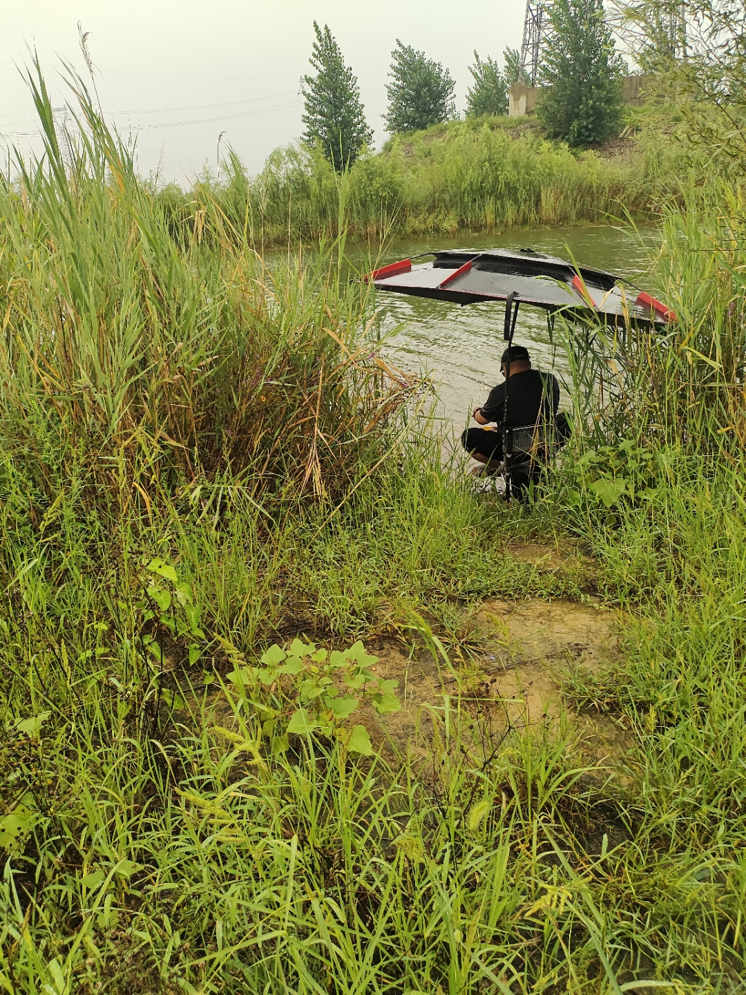 雨中垂钓技巧(雨中野钓) 雨中垂钓技巧(雨中野钓)