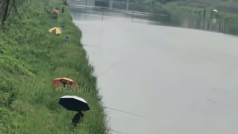 雨中垂钓技巧(雨中野钓) 雨中垂钓技巧(雨中野钓)