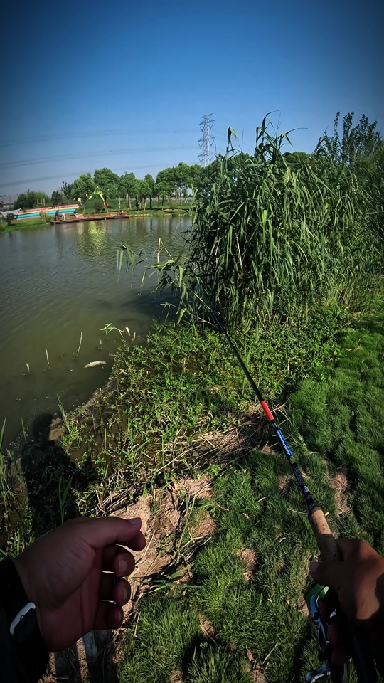 安亭路亚(什么叫路亚钓解释一下)