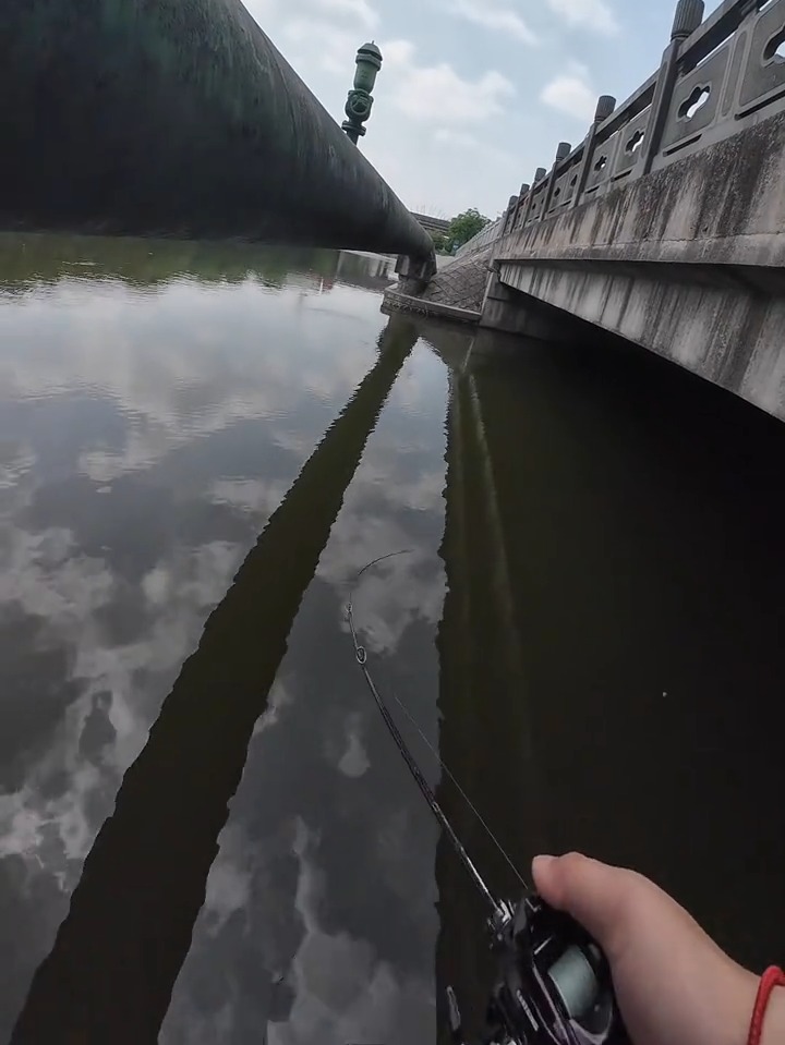 安亭路亚(什么叫路亚钓解释一下)