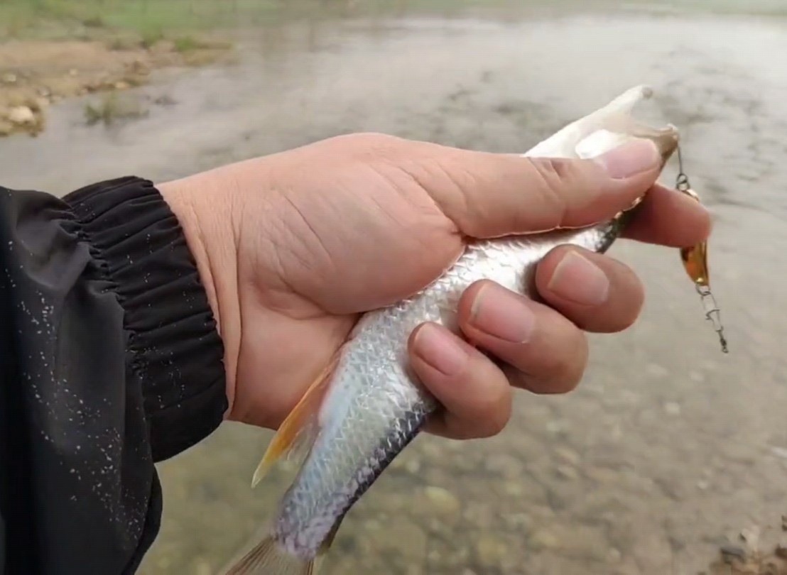 路亚拒马河(涿州拒马河简介) 路亚拒马河(涿州拒马河简介)