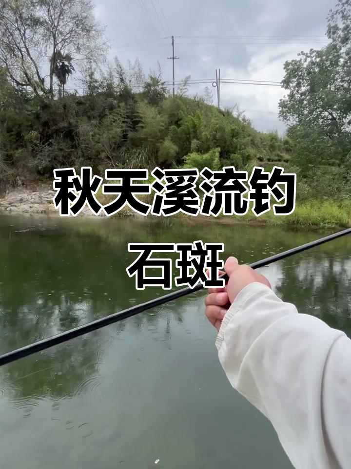 钓石斑技巧进洞(溪流钓石斑鱼技巧图解) 钓石斑技巧进洞(溪流钓石斑鱼技巧图解)