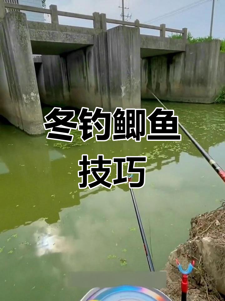 冬季钓鲫鱼技巧全知识(冬季钓鲫鱼用什么钓最好) 冬季钓鲫鱼技巧全知识(冬季钓鲫鱼用什么钓最好)