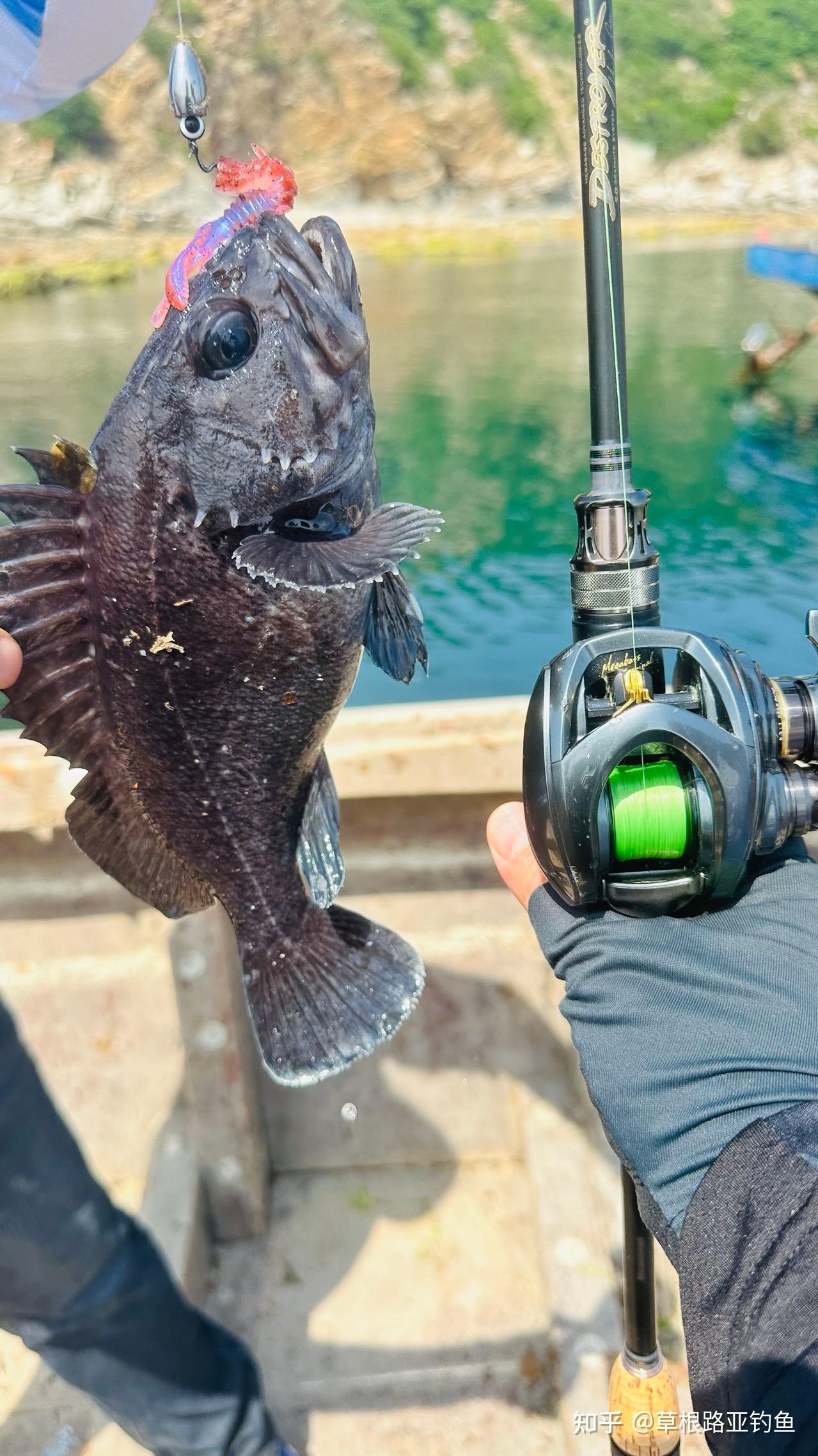 安路亚(安路亚大灯)