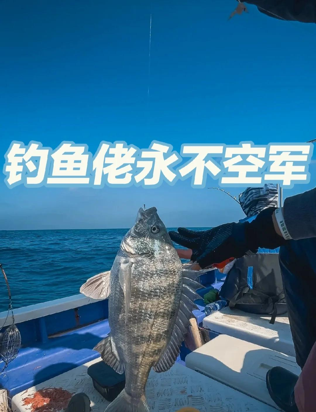 鱼排海钓经验(海里鱼排怎么钓鱼) 鱼排海钓经验(海里鱼排怎么钓鱼)