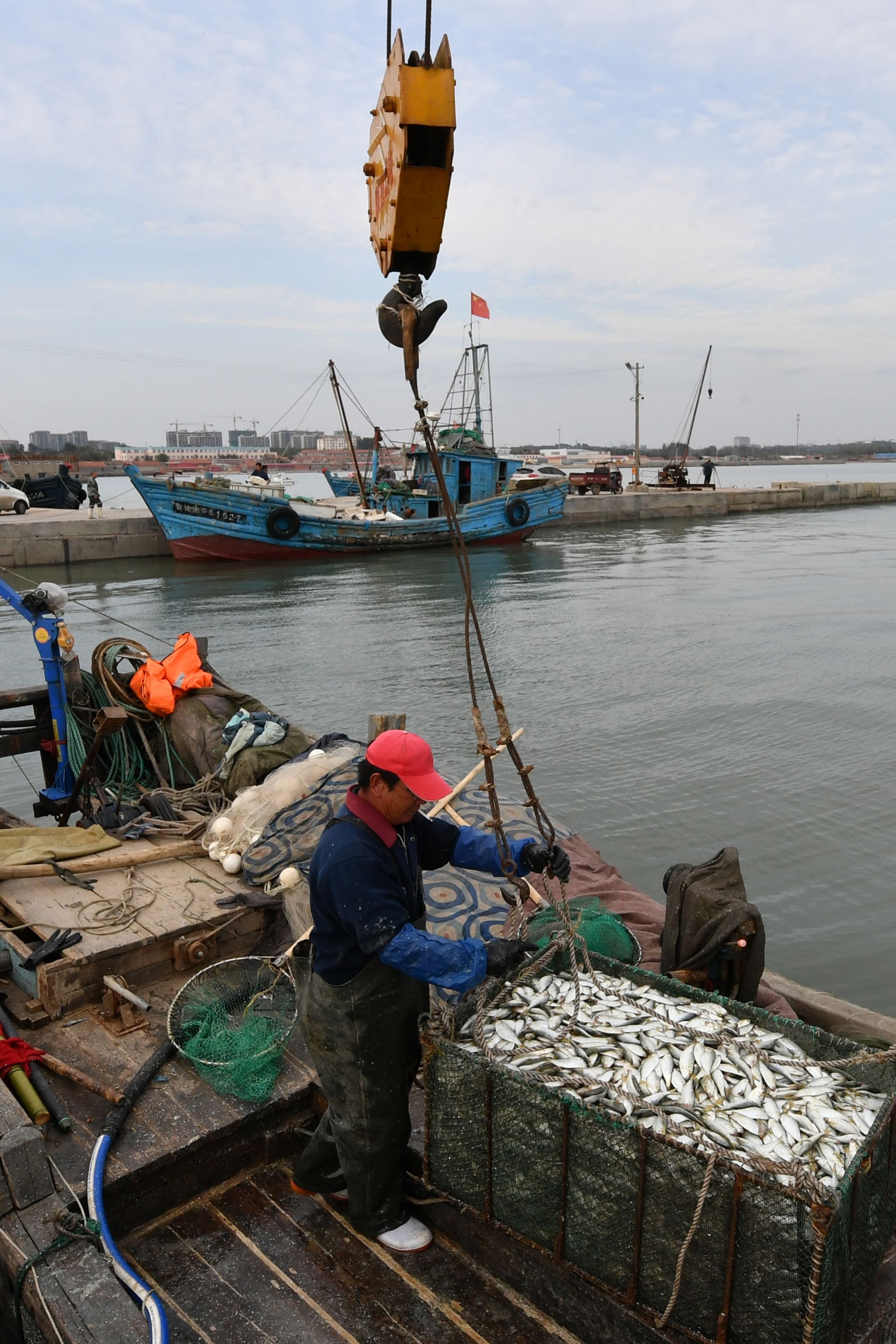 青鳞鱼海钓(十大无鳞鱼图片) 青鳞鱼海钓(十大无鳞鱼图片)
