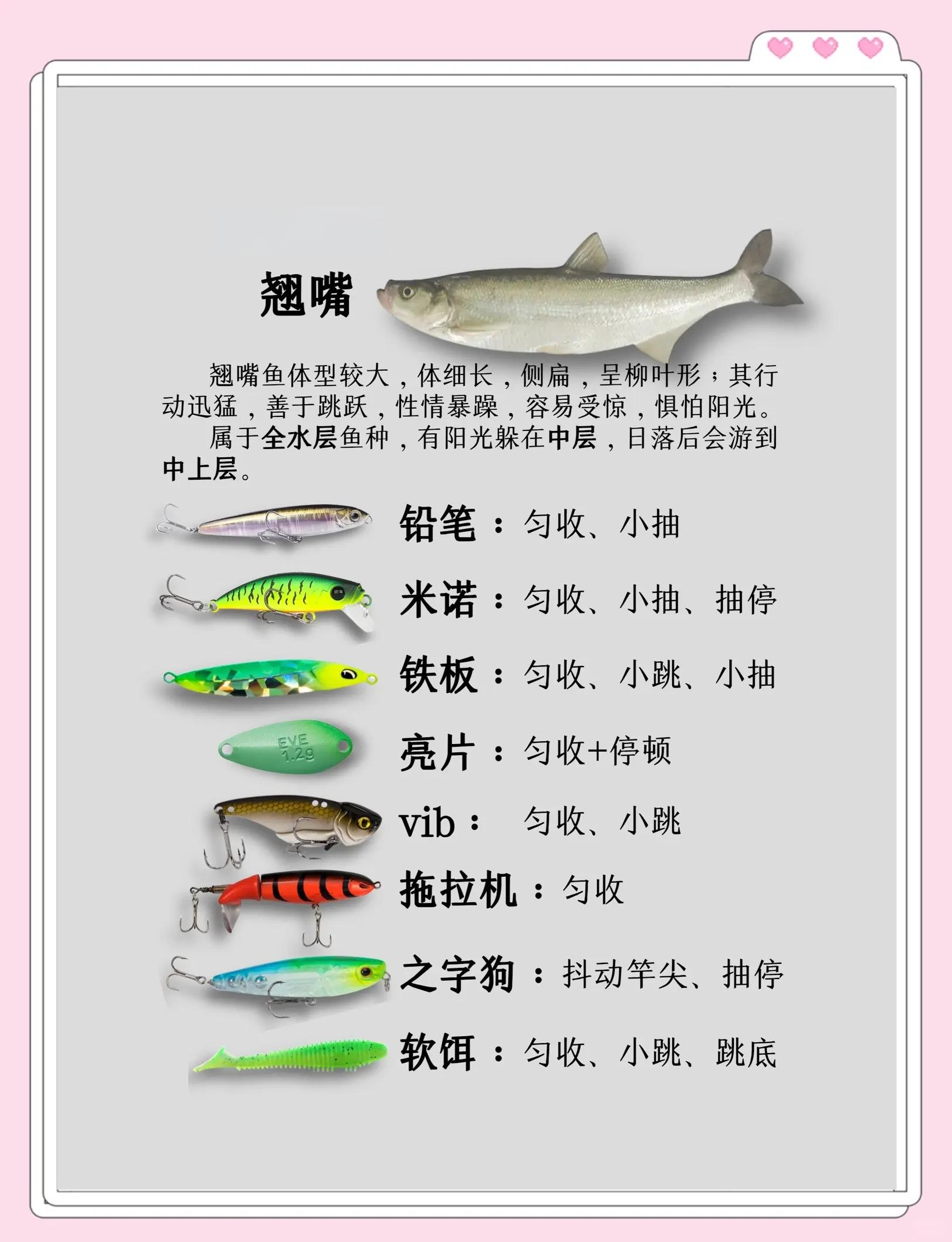 路亚饵配备(路亚饵怎么配钩子) 路亚饵配备(路亚饵怎么配钩子)