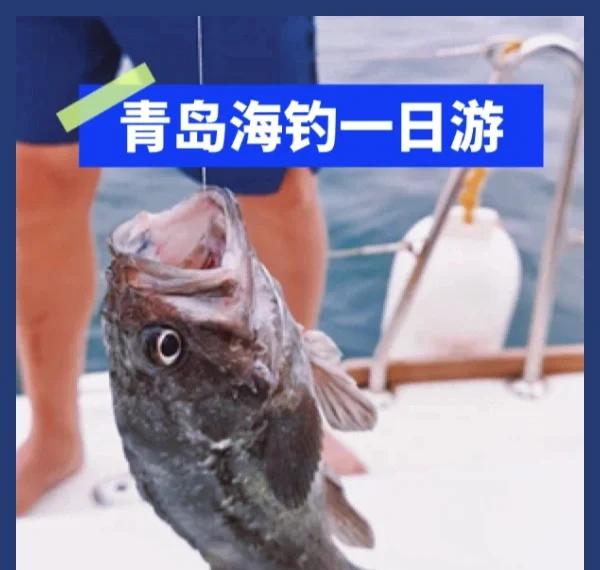 菲律宾海钓价格(菲律宾海钓能钓到什么鱼) 菲律宾海钓价格(菲律宾海钓能钓到什么鱼)