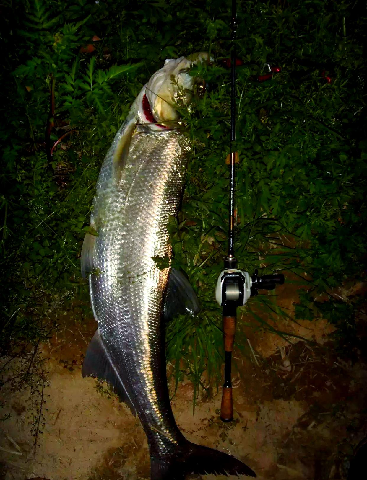 路亚路翘嘴技巧(路亚翘嘴的最佳方法) 路亚路翘嘴技巧(路亚翘嘴的最佳方法)