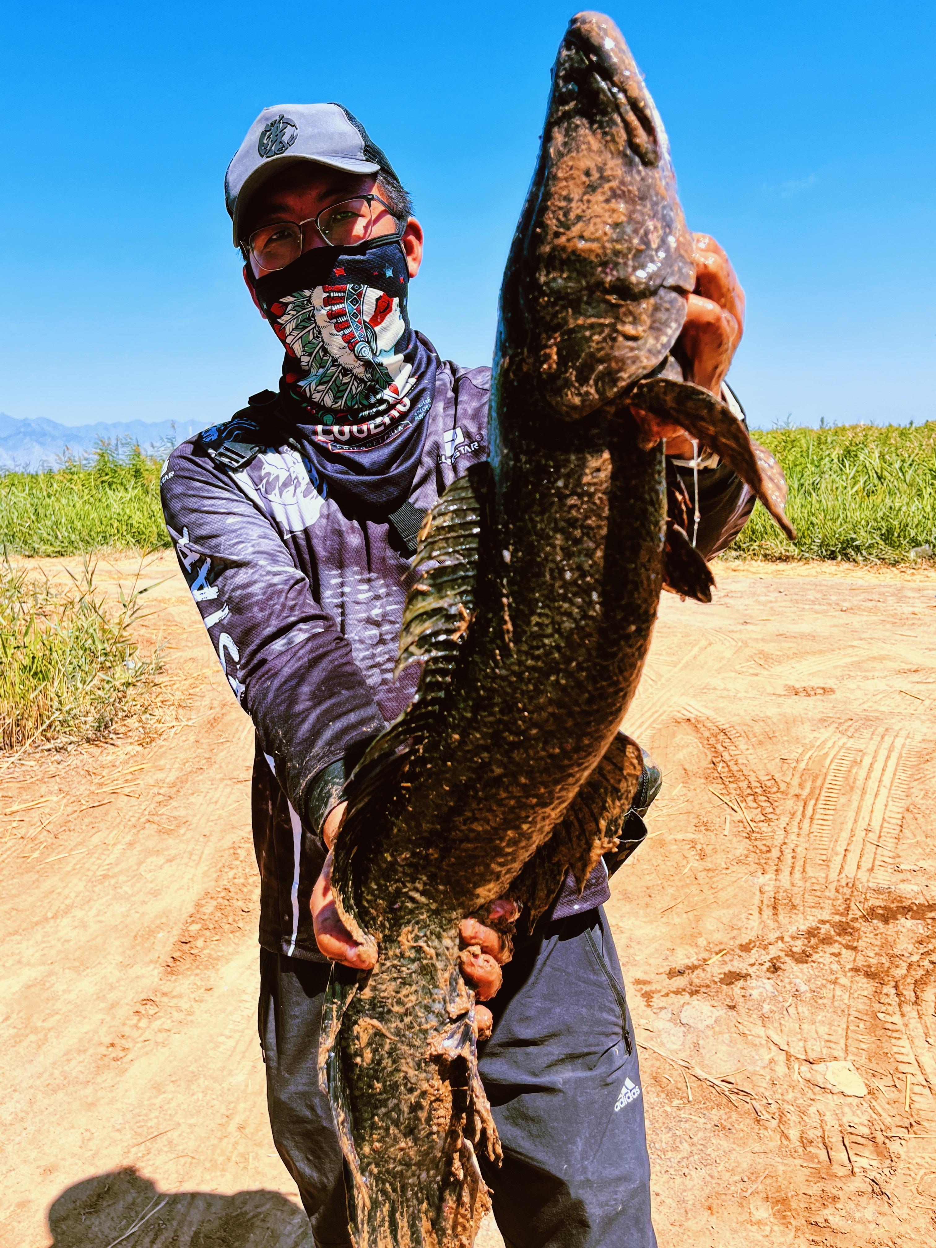 路亚黑鱼速比(路亚黑鱼硬度) 路亚黑鱼速比(路亚黑鱼硬度)