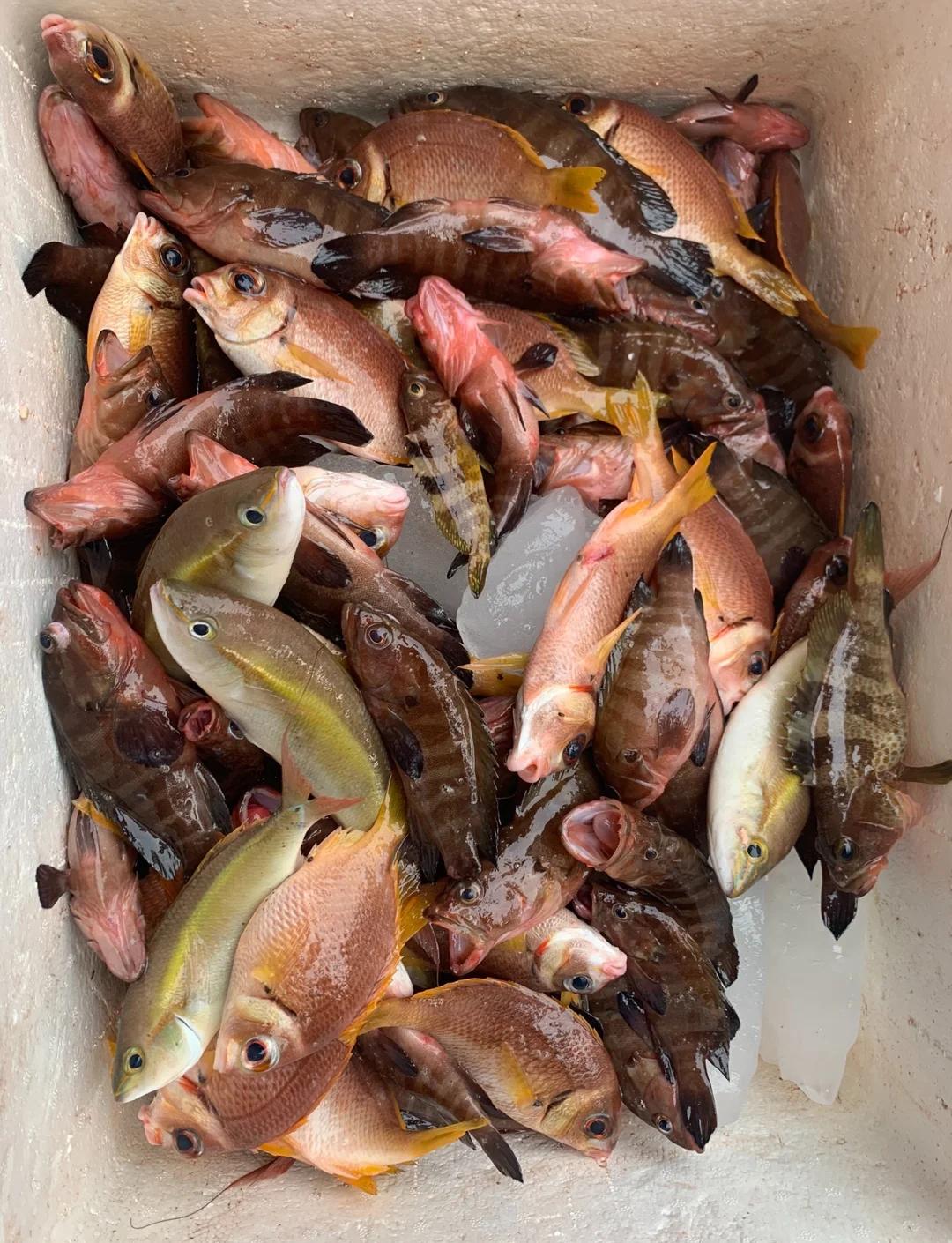 长春四海钓场(四海钓鱼电话号码) 长春四海钓场(四海钓鱼电话号码)