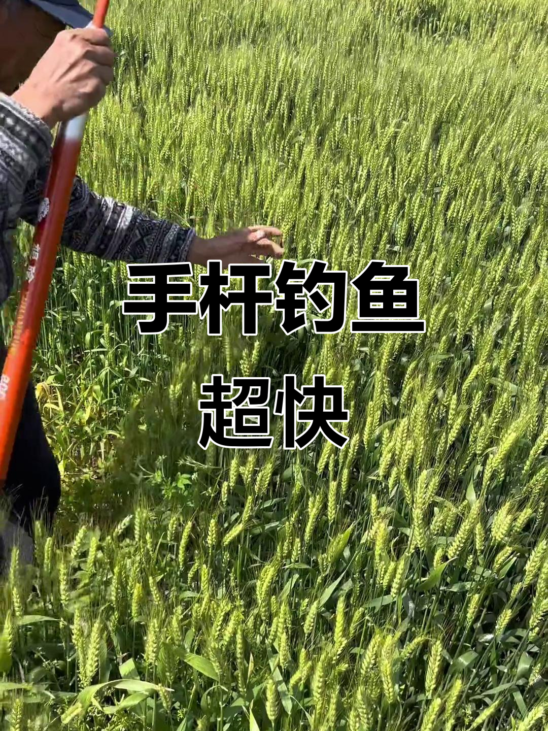 钓黑鱼挂活饵技巧(钓黑鱼怎么挂钩) 钓黑鱼挂活饵技巧(钓黑鱼怎么挂钩)