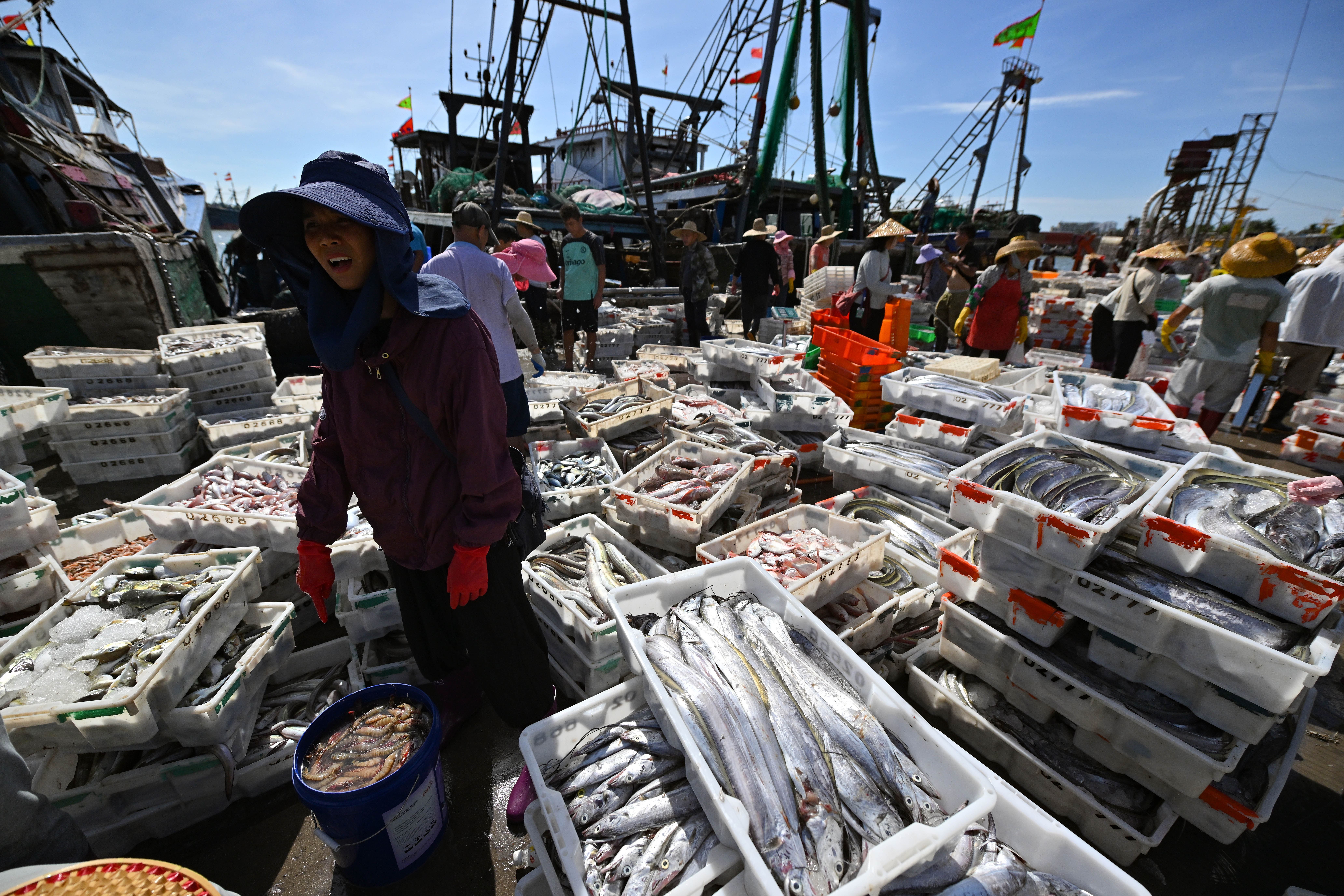 南海渔具公司(南海渔具公司有哪些) 南海渔具公司(南海渔具公司有哪些)