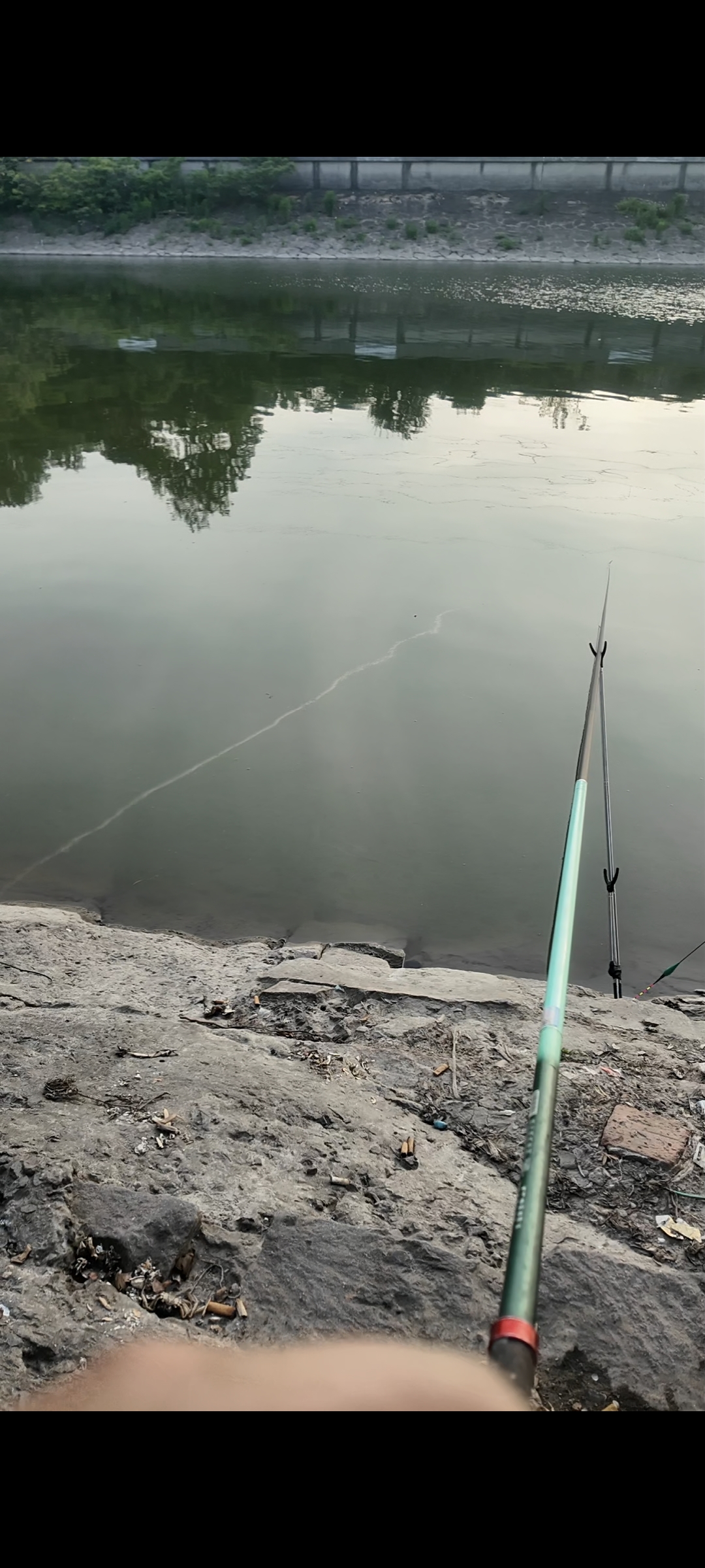 临海钓鱼天气(临海钓鱼亭工业园)