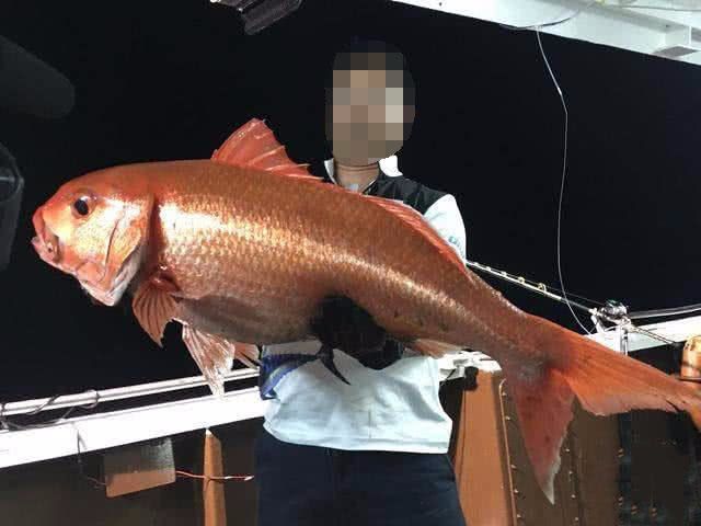 马鞭洲海钓(海钓一般都用几号鱼线)