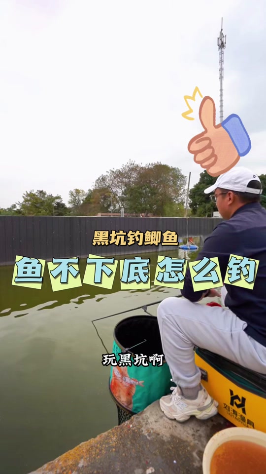 春天黑坑鲫鱼技巧(春天钓黑坑)