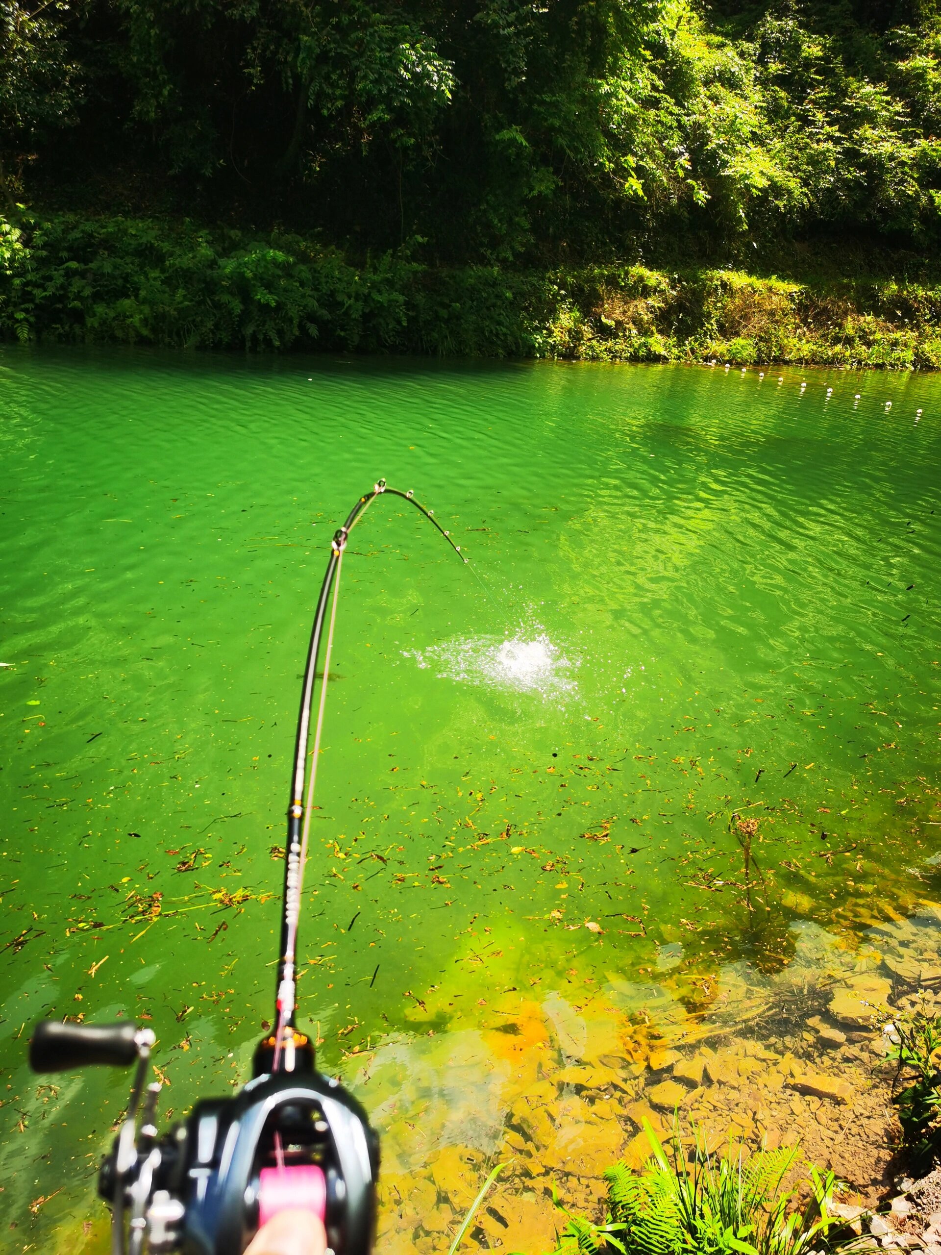 海门临江路亚(海门野钓有什么好地方) 海门临江路亚(海门野钓有什么好地方)