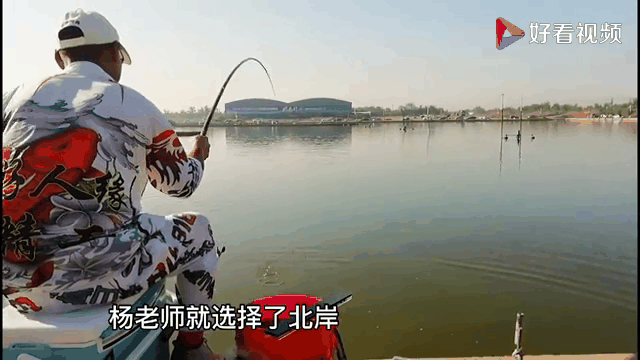 天津静海钓鱼(天津静海钓鱼场) 天津静海钓鱼(天津静海钓鱼场)