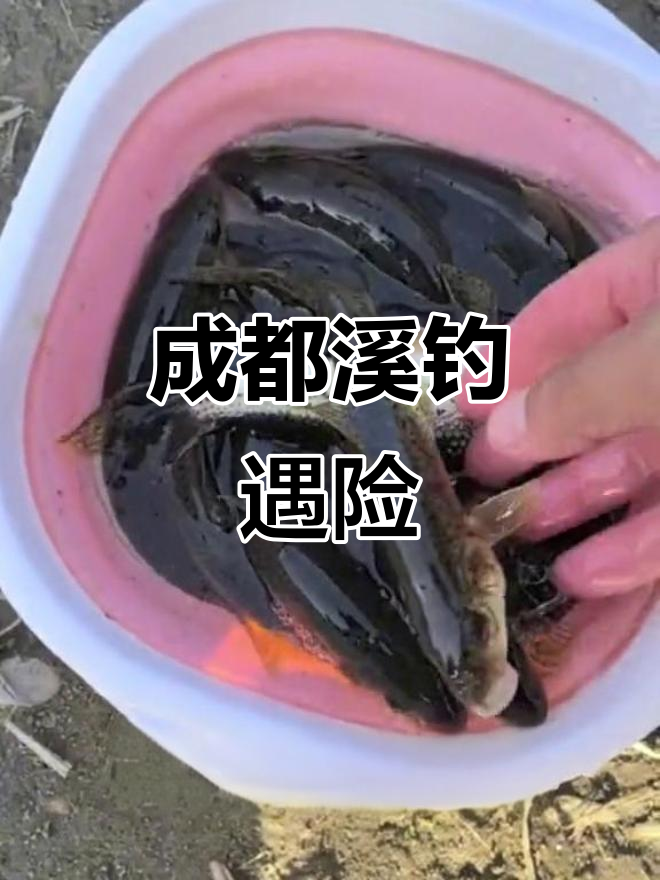 钓沙沟鱼的技巧(钓沙沟鱼的技巧视频) 钓沙沟鱼的技巧(钓沙沟鱼的技巧视频)