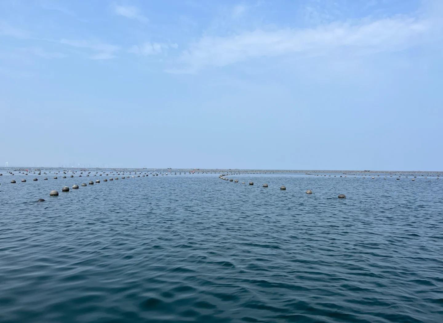 烟台海钓地点推荐(烟台海钓钓鱼地点) 烟台海钓地点推荐(烟台海钓钓鱼地点)