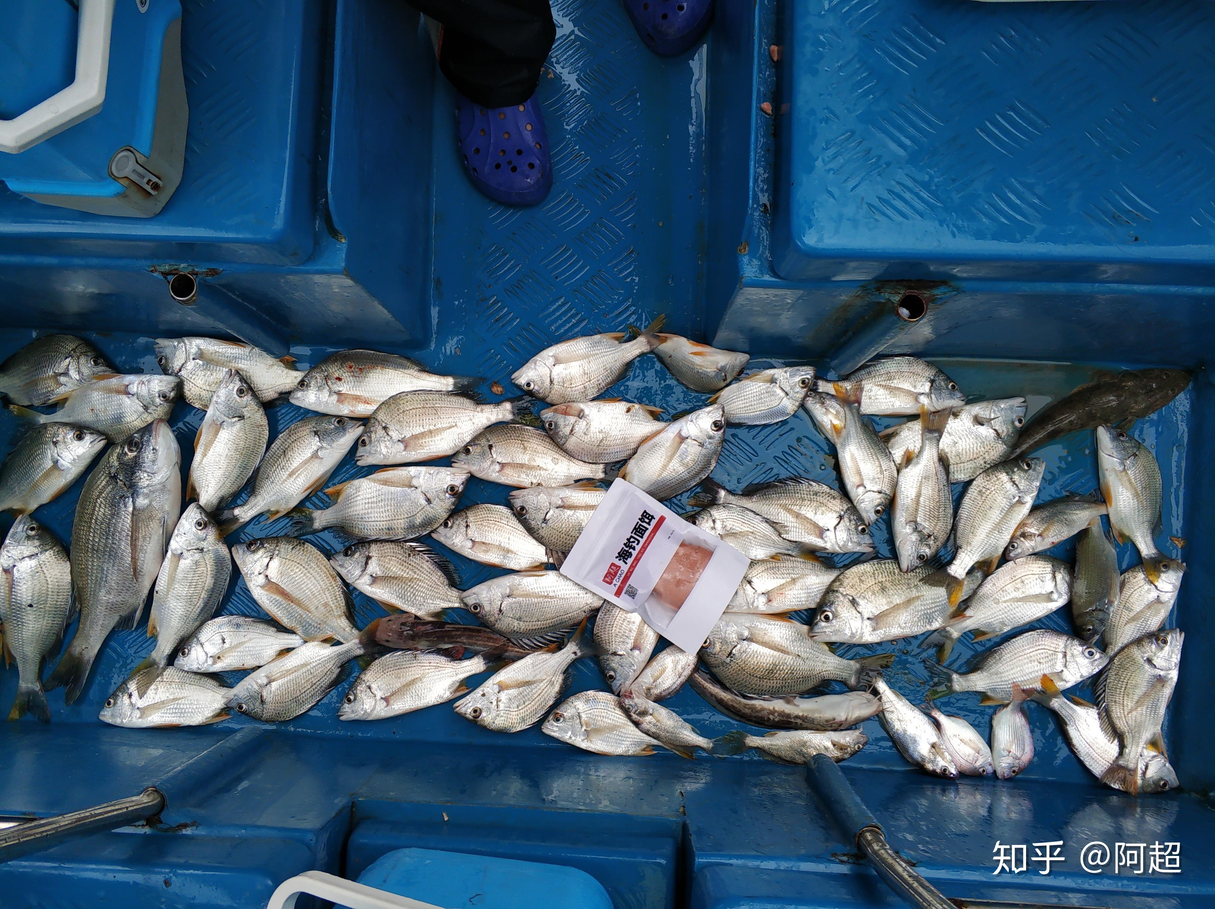 亚婆角钓鱼技巧(亚婆角路亚) 亚婆角钓鱼技巧(亚婆角路亚)